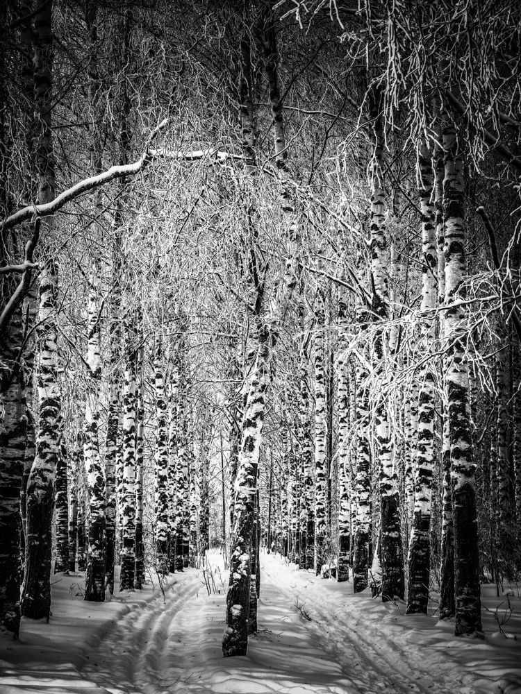 Photograph by Alexandr