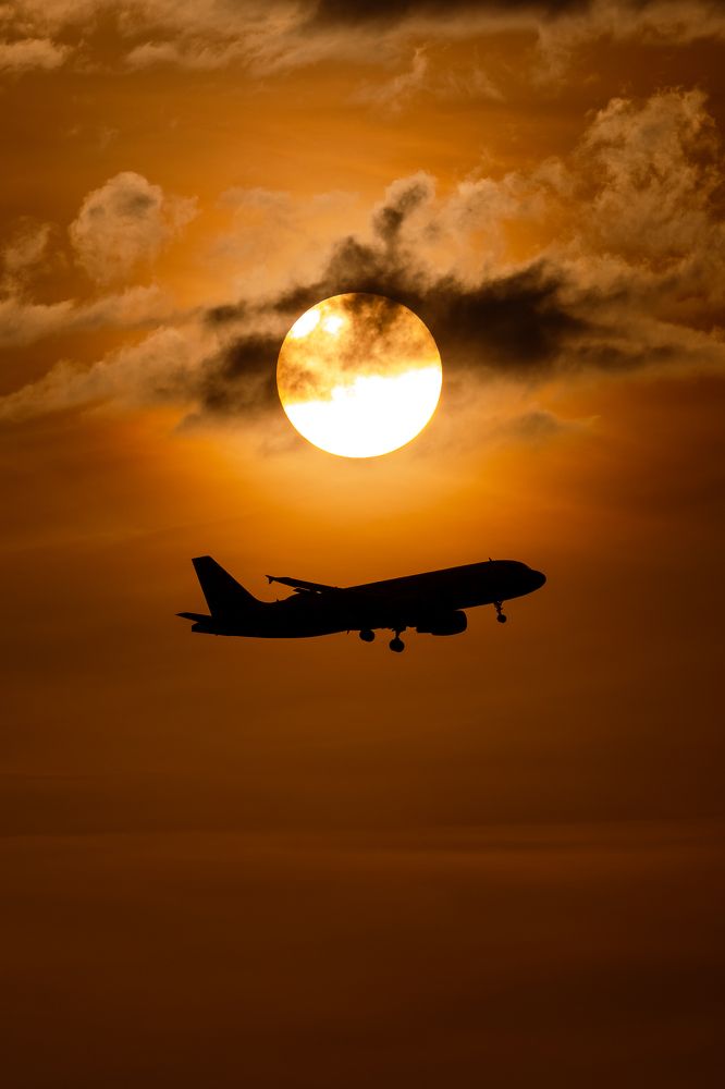 Photograph by Krid Karnsomdee