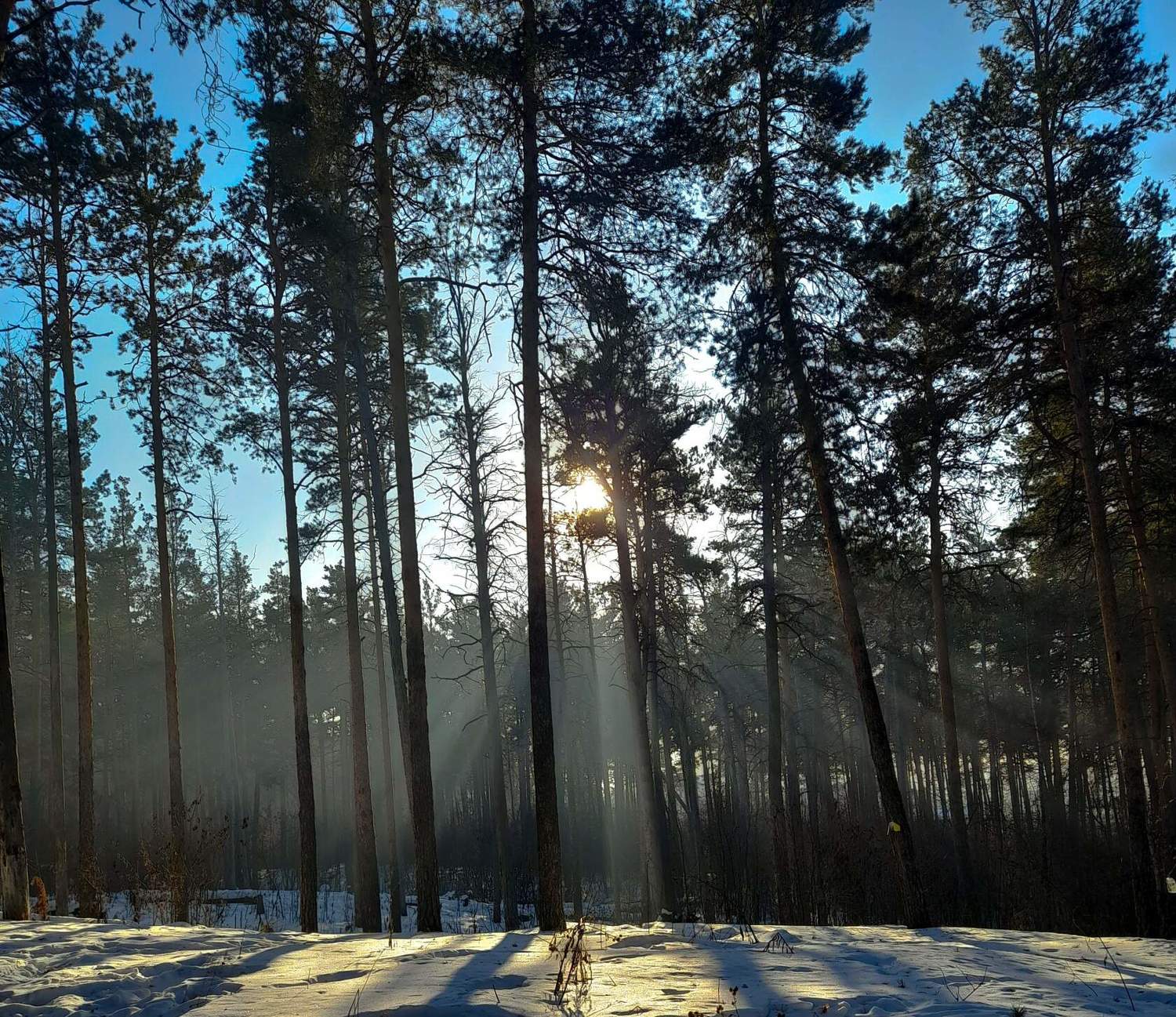 Photo #10091064
