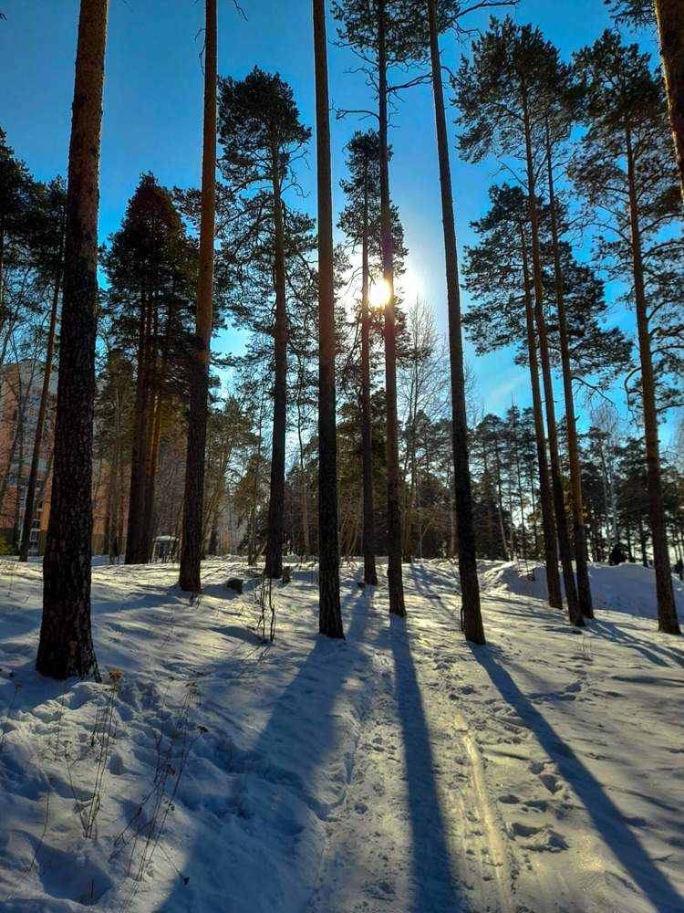 Photograph by Ксения
