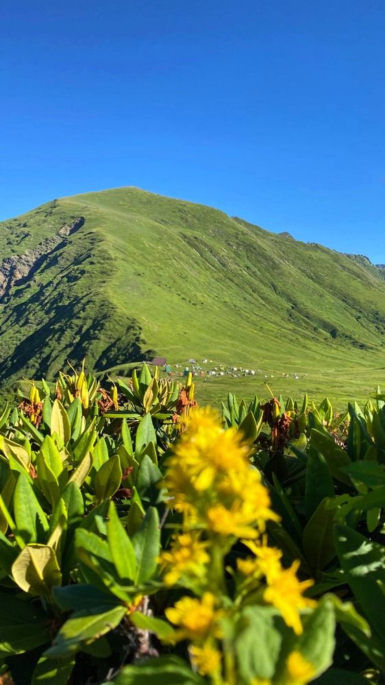 Photograph by Ленар Маликов