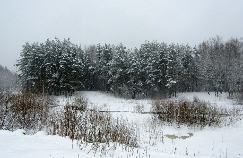 Photograph by Татьяна Смирнова