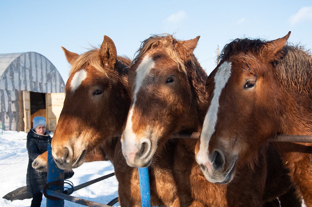 Photograph by Ольга Александрова