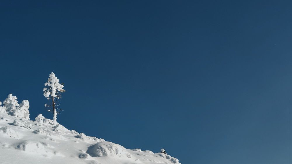 Фотография автора Aleksandr Zubakin