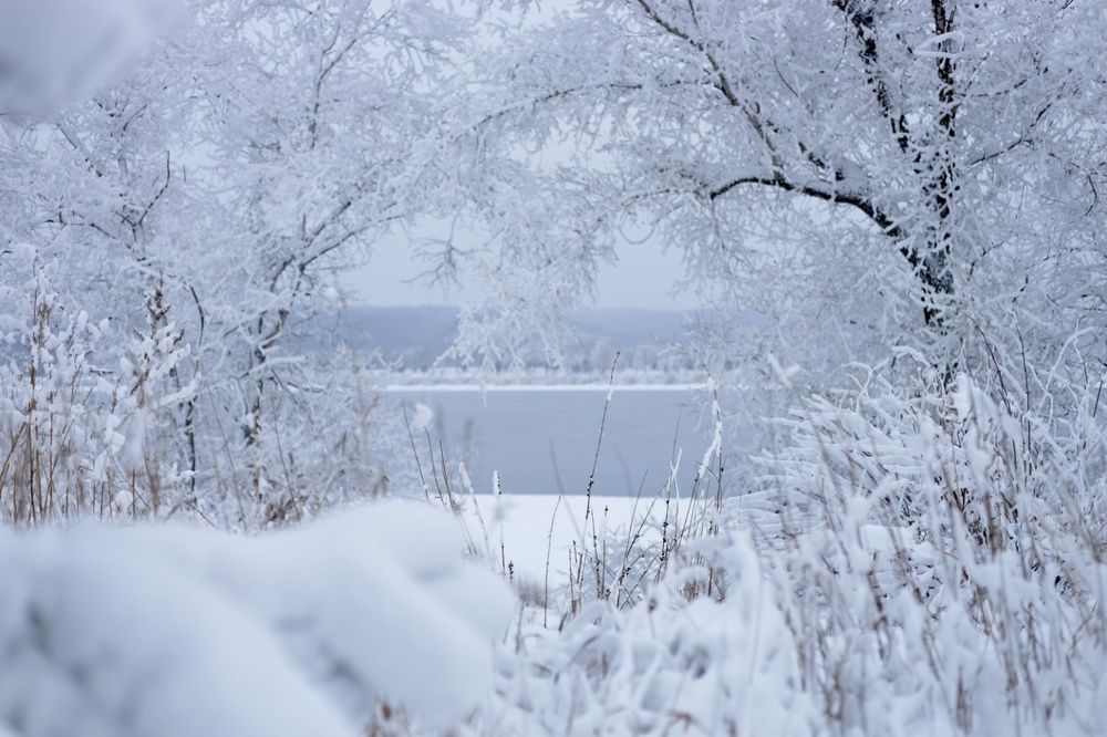 Photograph by Швай Наталья
