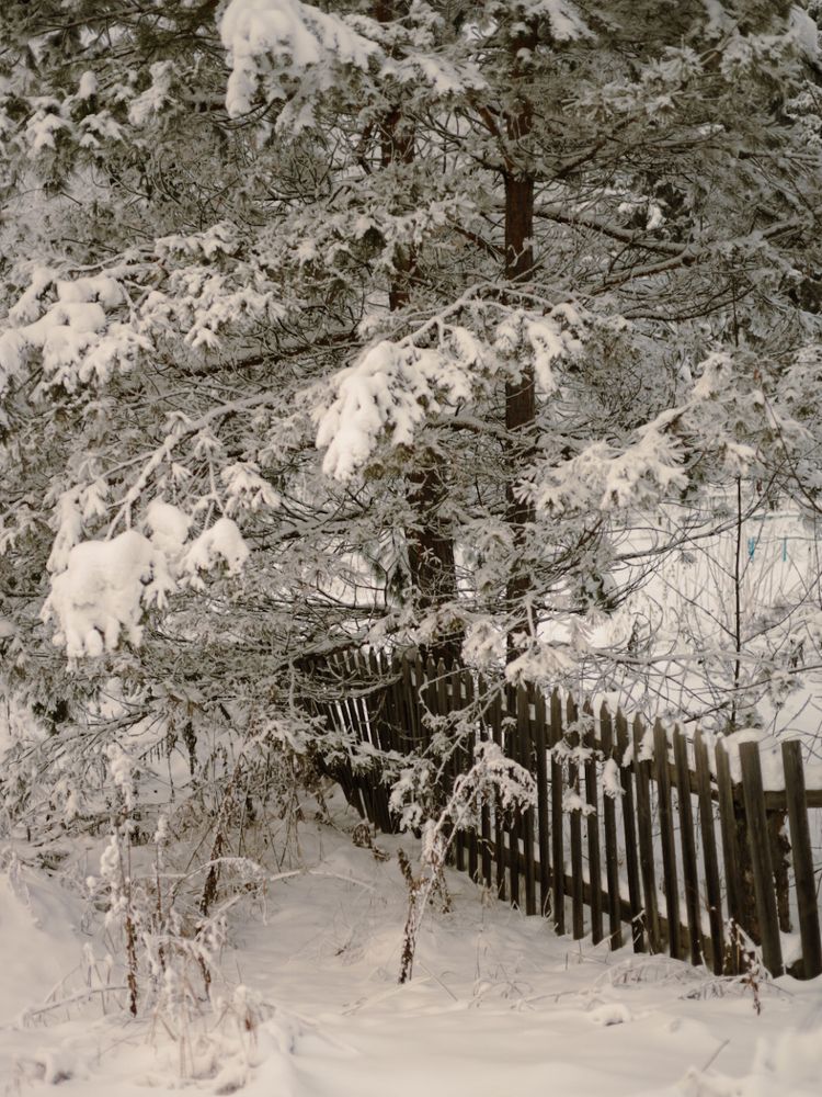 Photograph by Швай Наталья