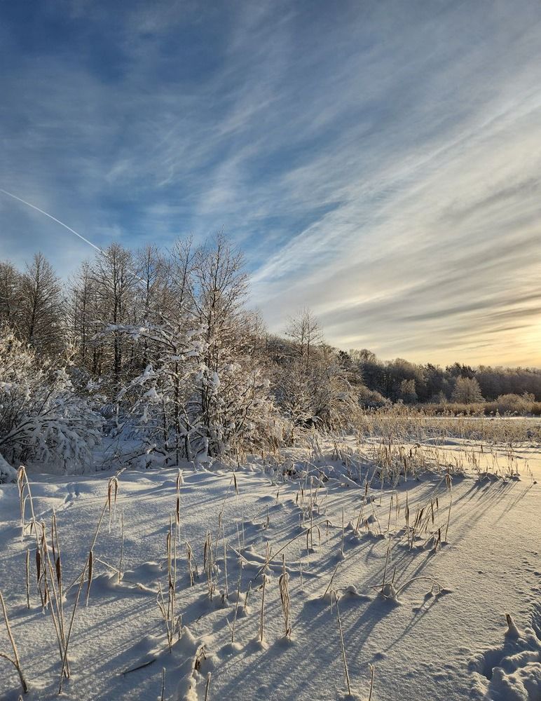 Photograph by Inna Iudina