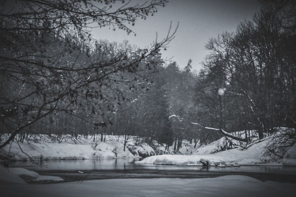 Photograph by Irina Edelvejs