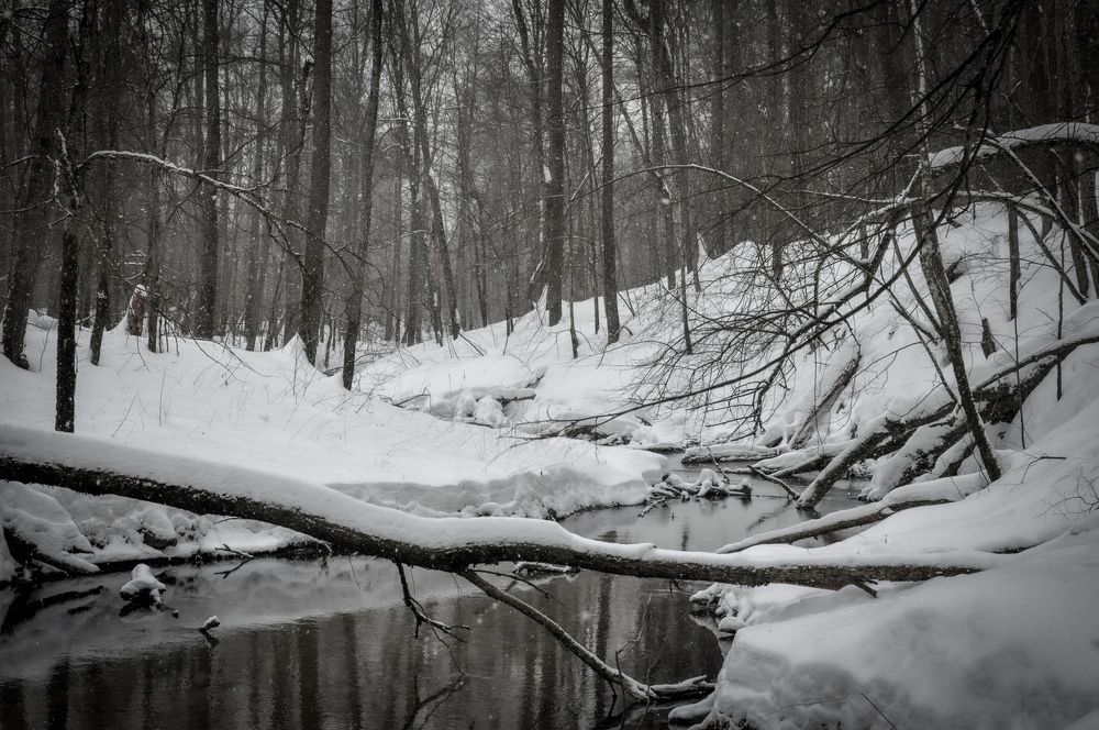 Photograph by Irina Edelvejs