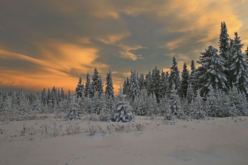 Фотография автора Юрий Кетель