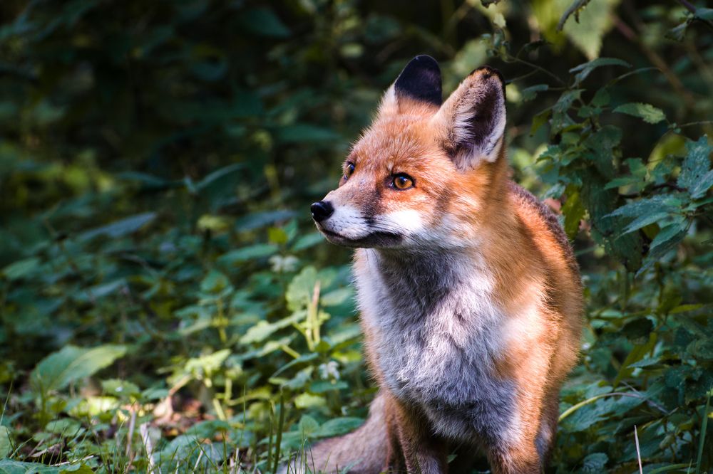 Photograph by Pashke B