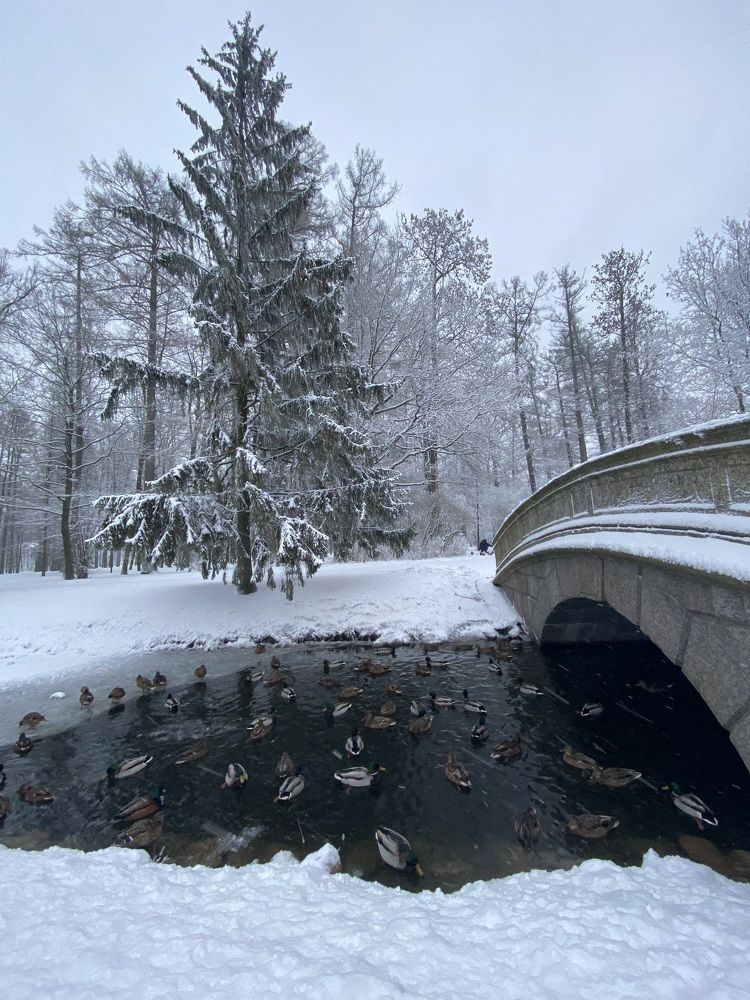 Photograph by Алиса Лукина