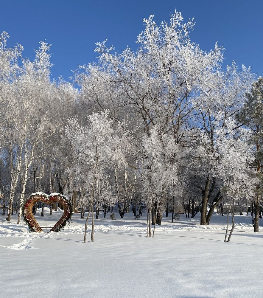 Photograph by Алиса Лукина