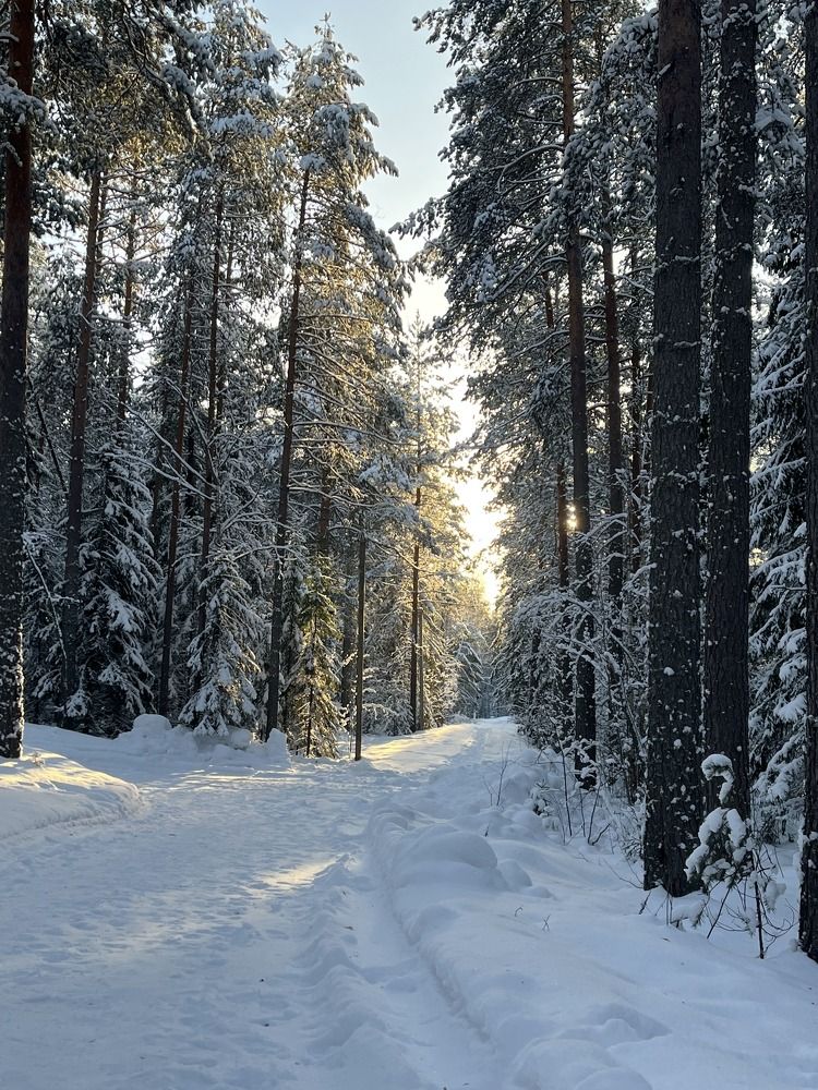 Photograph by Елена Карпухно