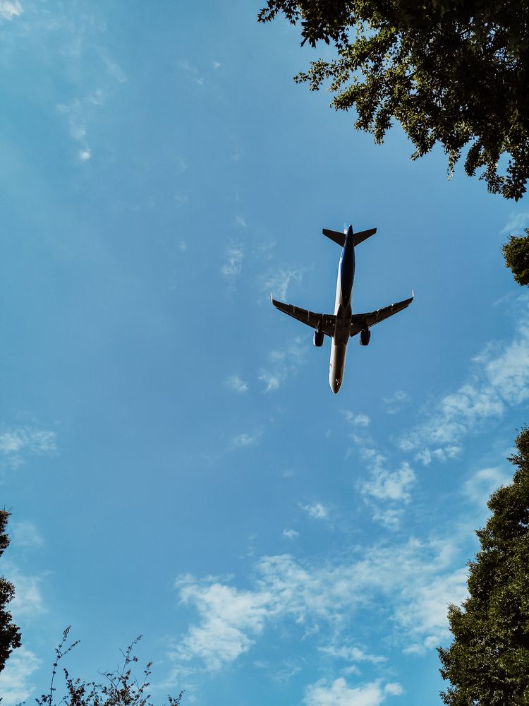 Photograph by Ольга Владимировна