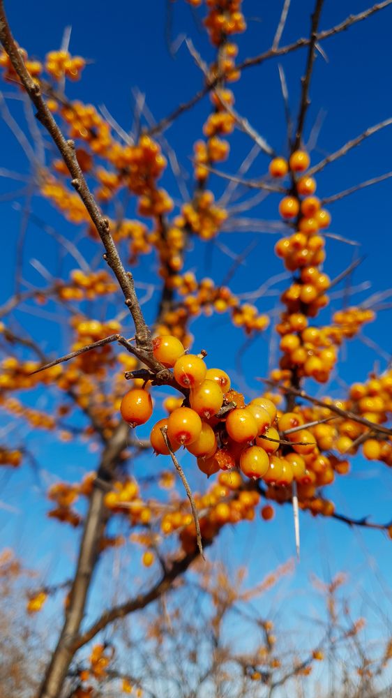 Photograph by Дарья