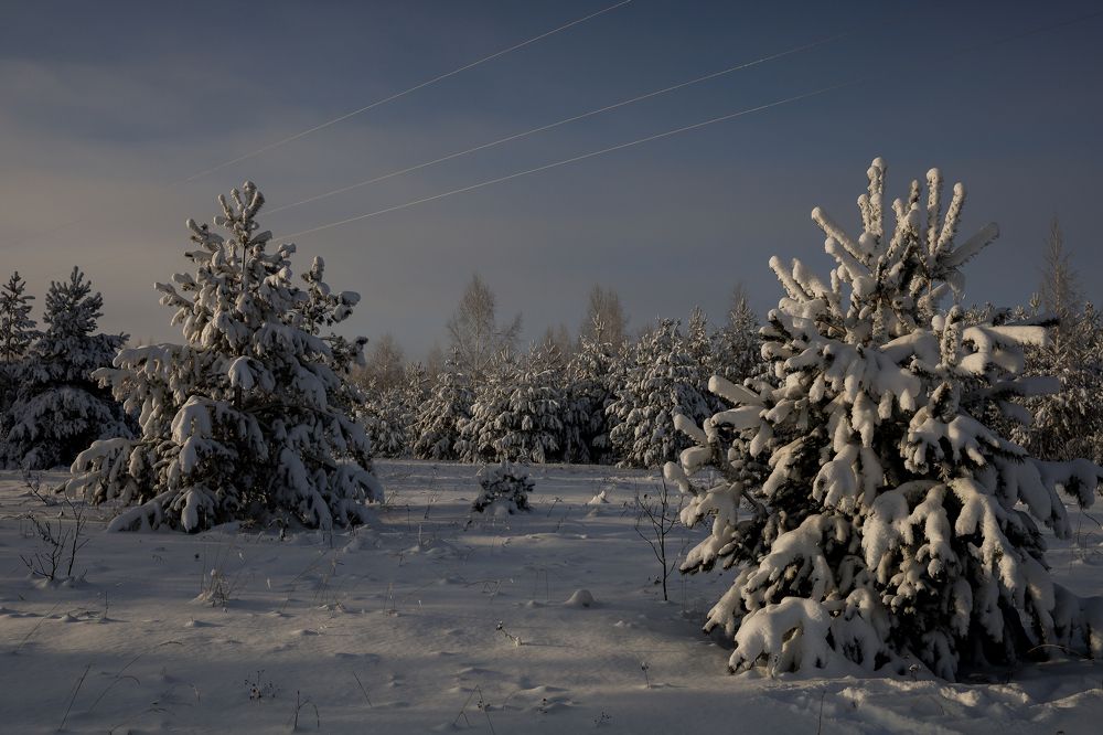 Photograph by Марина Слепова