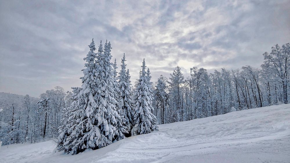 Photograph by Стас Неклюдов