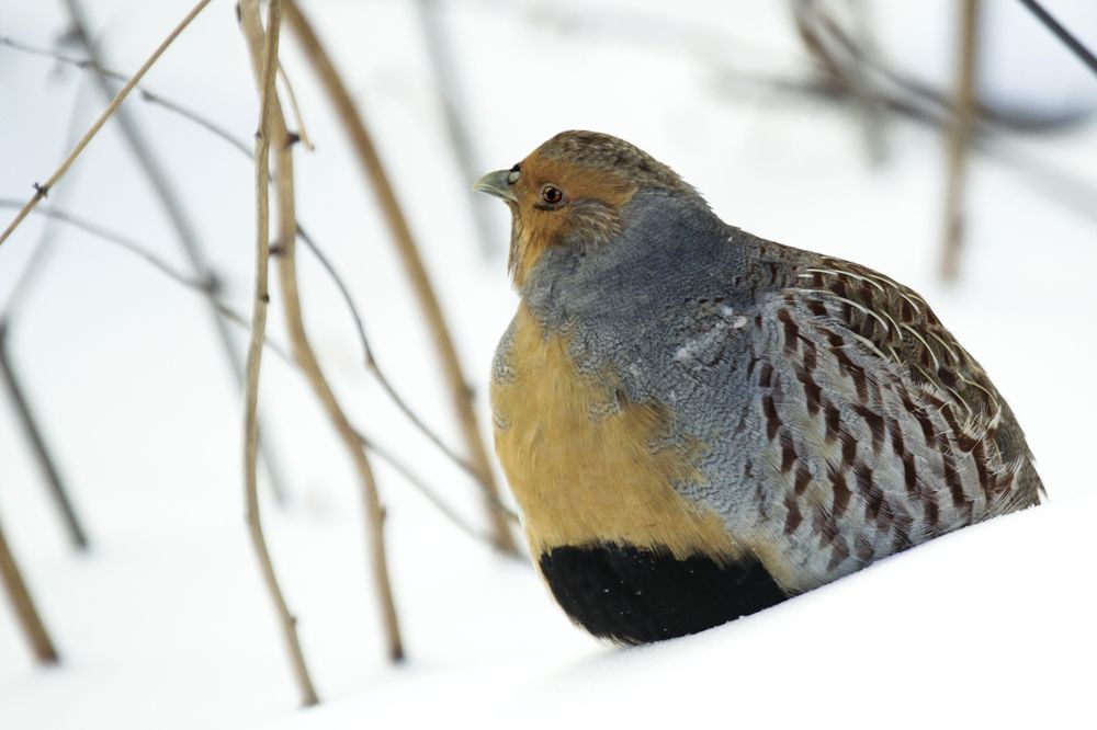 Photograph by Сергей Черных