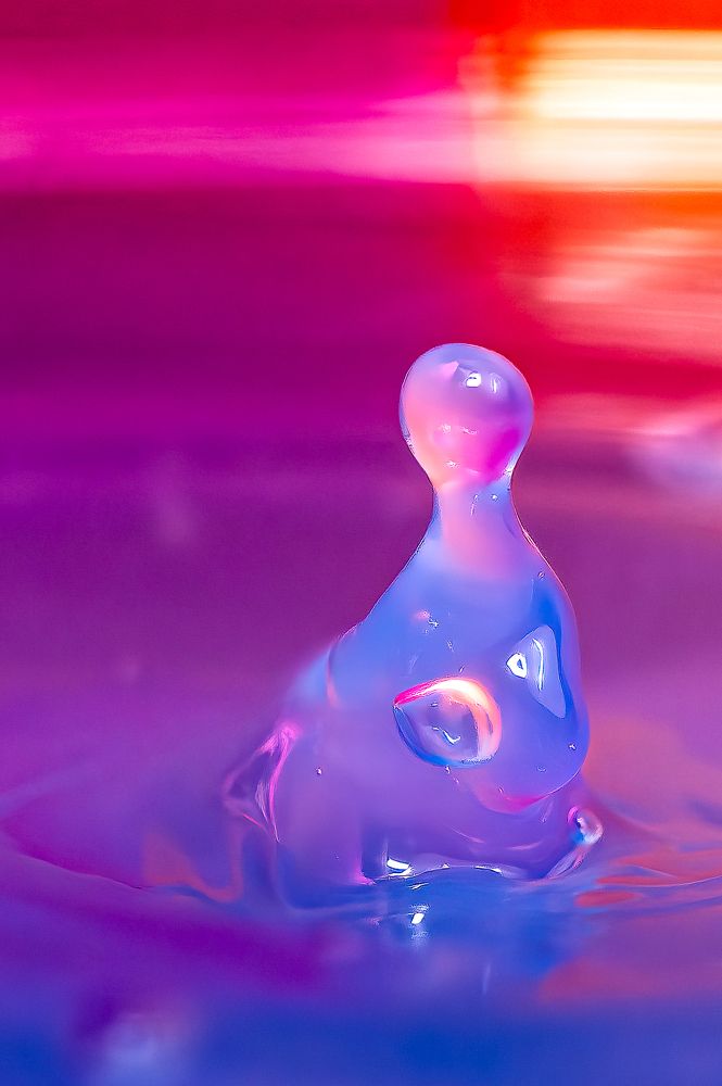 Photograph by Vasile Sarb