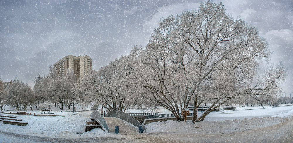 Photograph by Алексей Афонин