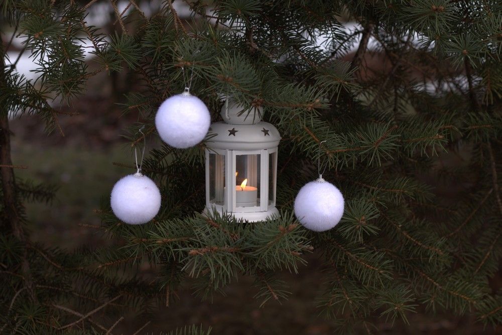 Photograph by Светлана Соколова