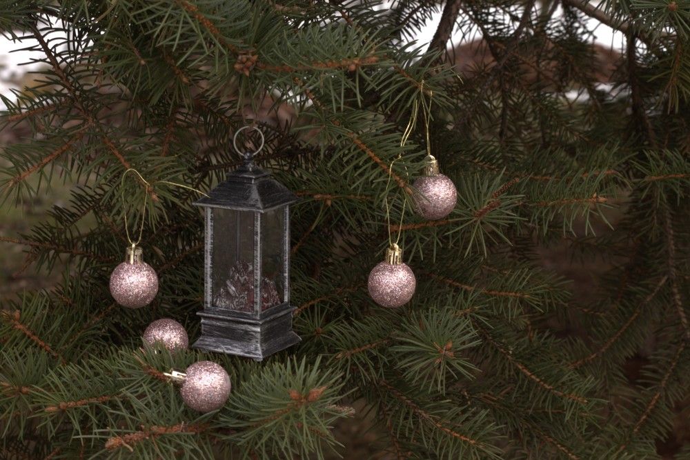 Photograph by Светлана Соколова