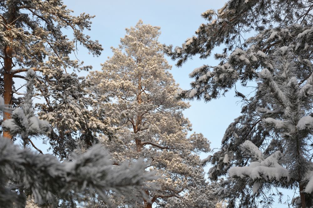 Photograph by Романова Екатерина