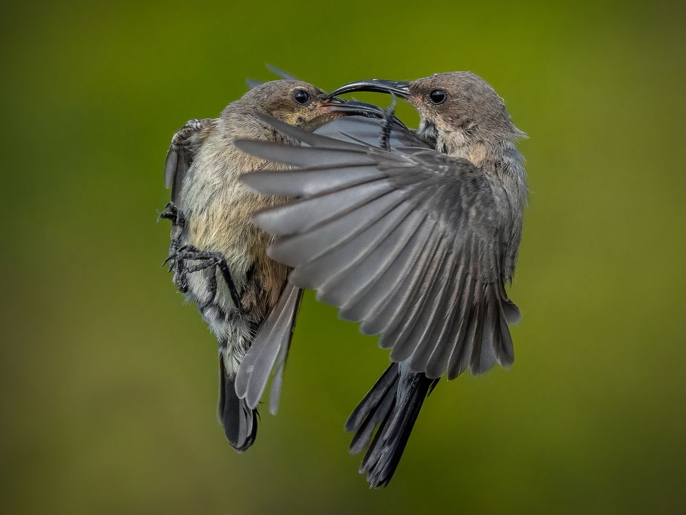 Photograph by Ammar alomari