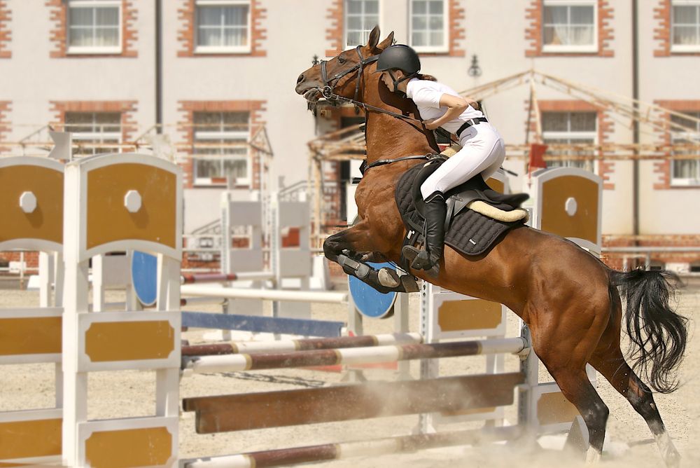 Photograph by Шруб (Беляева) Татьяна