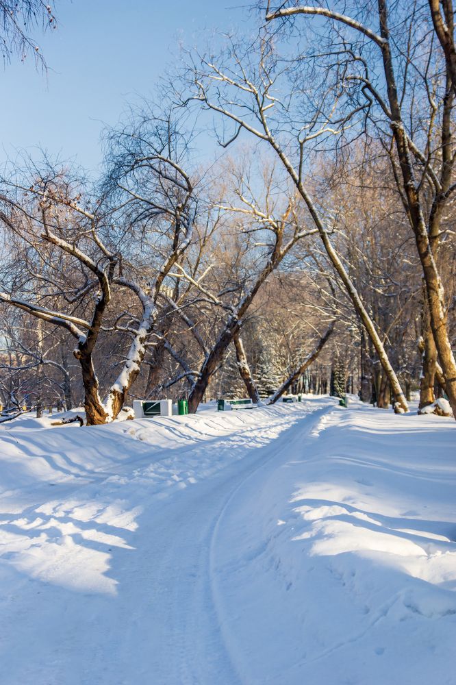 Photograph by Любовь Дворникова