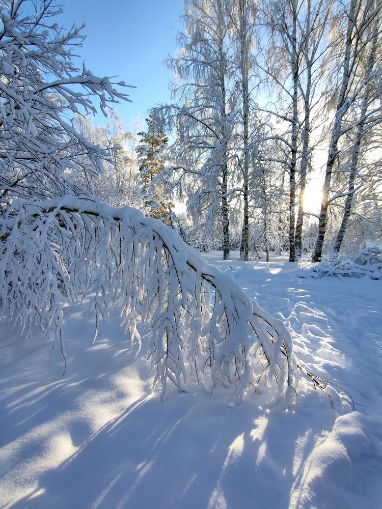 Photograph by Галина Щурова