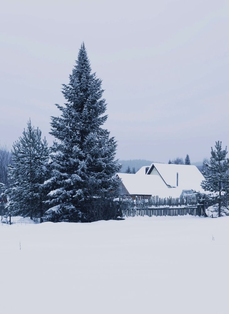 Photograph by Вера