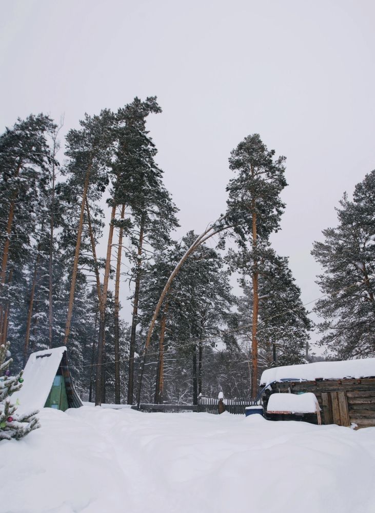 Photograph by Вера