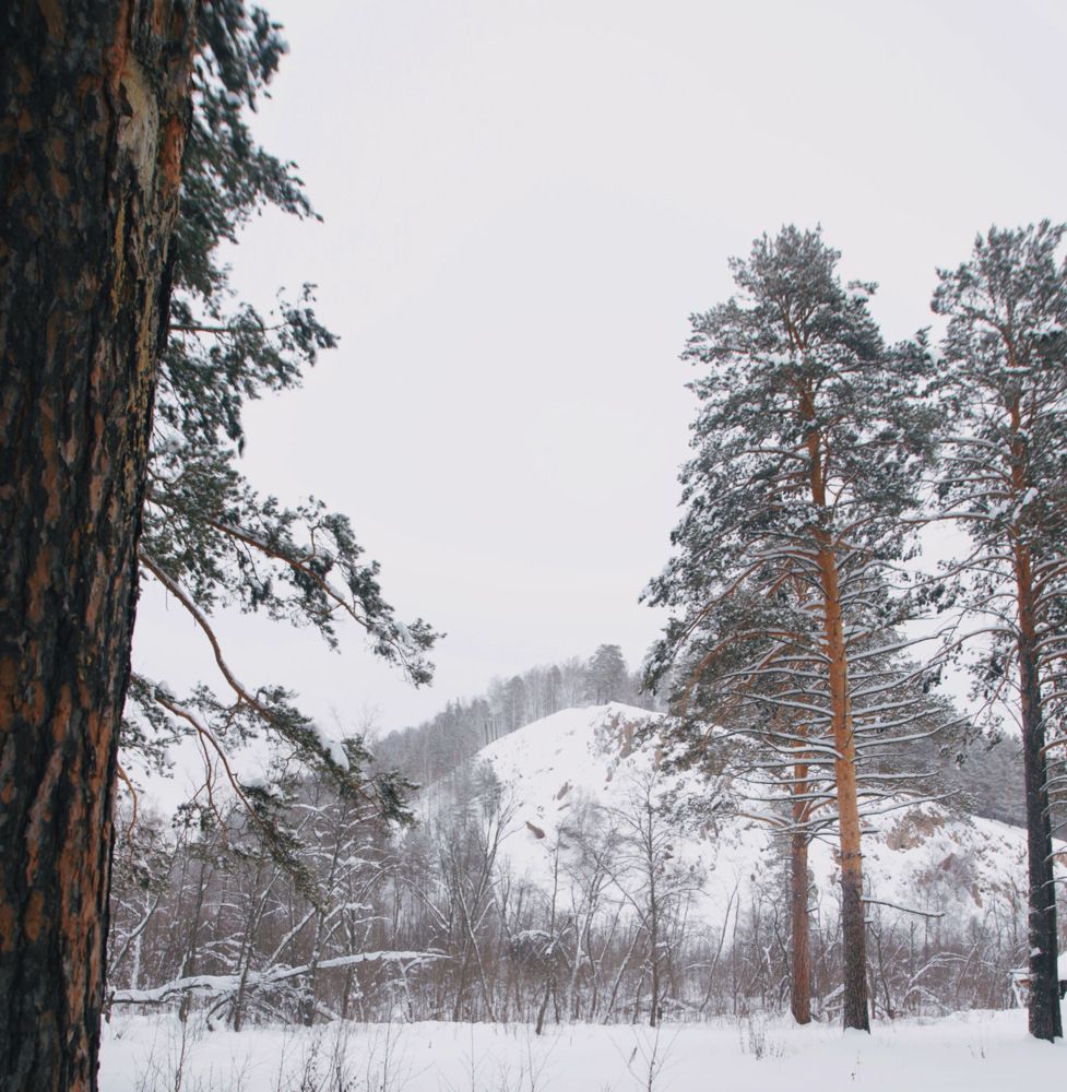 Photograph by Вера