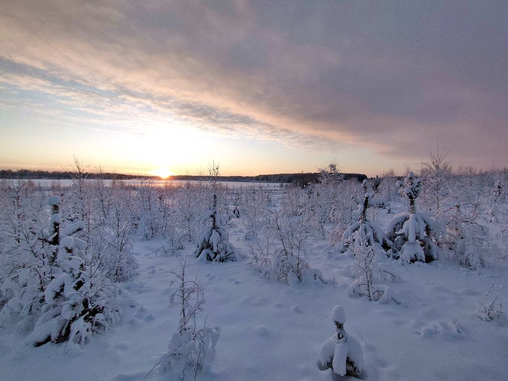 Photograph by Галина Щурова