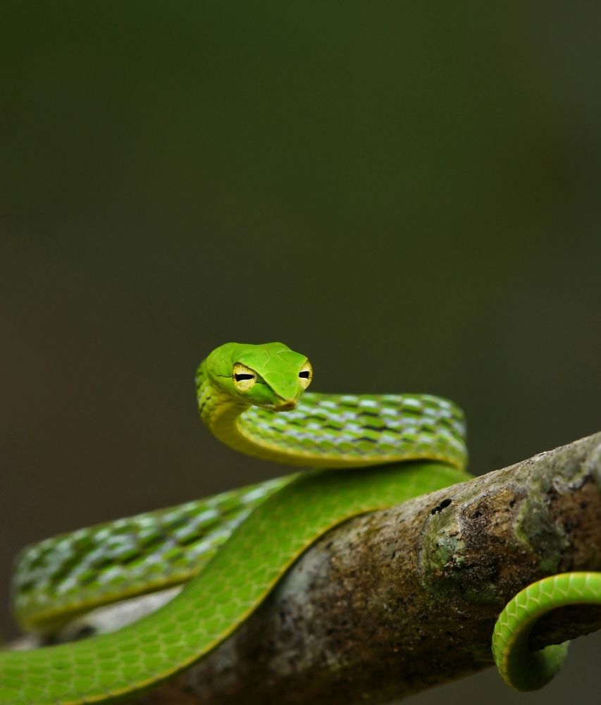 Photograph by George S George