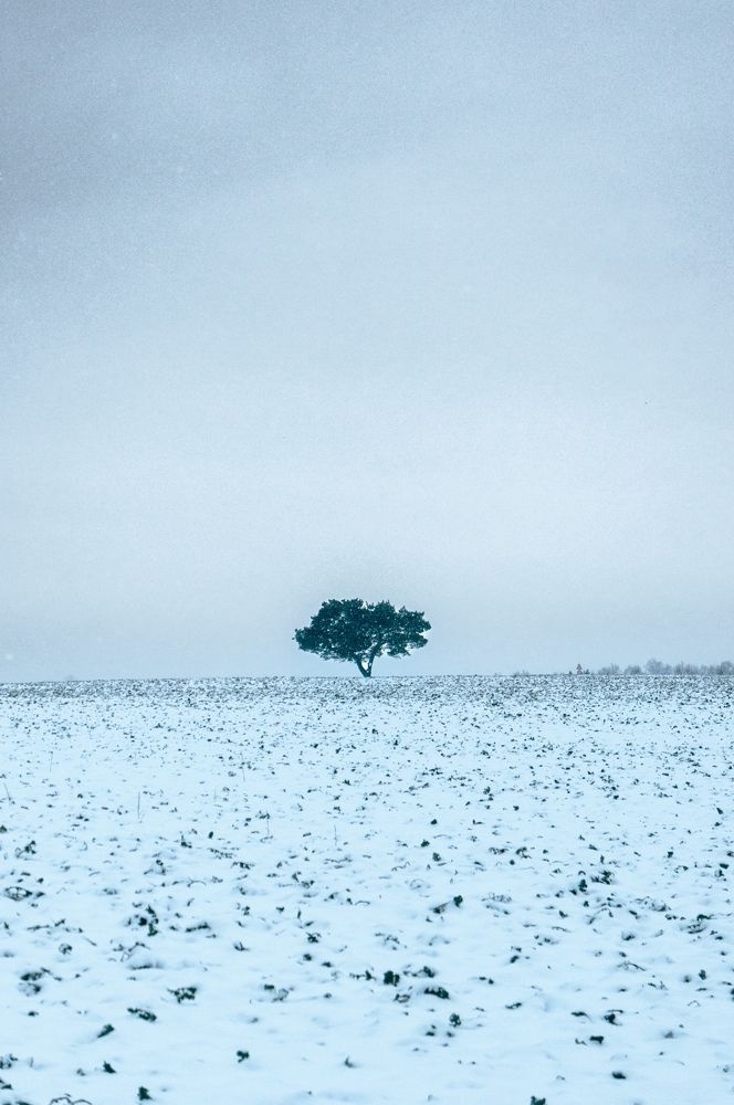 Фотография автора Геннадий Ломеко