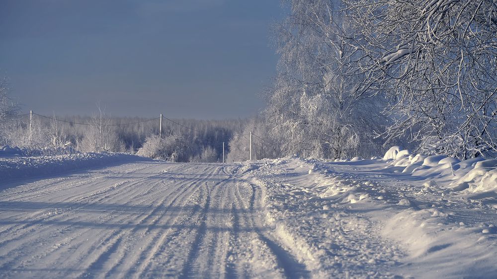 Photograph by Алексей Парамонов