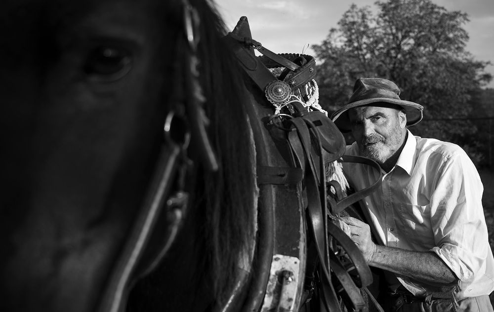 Photograph by Bojan Rupnik