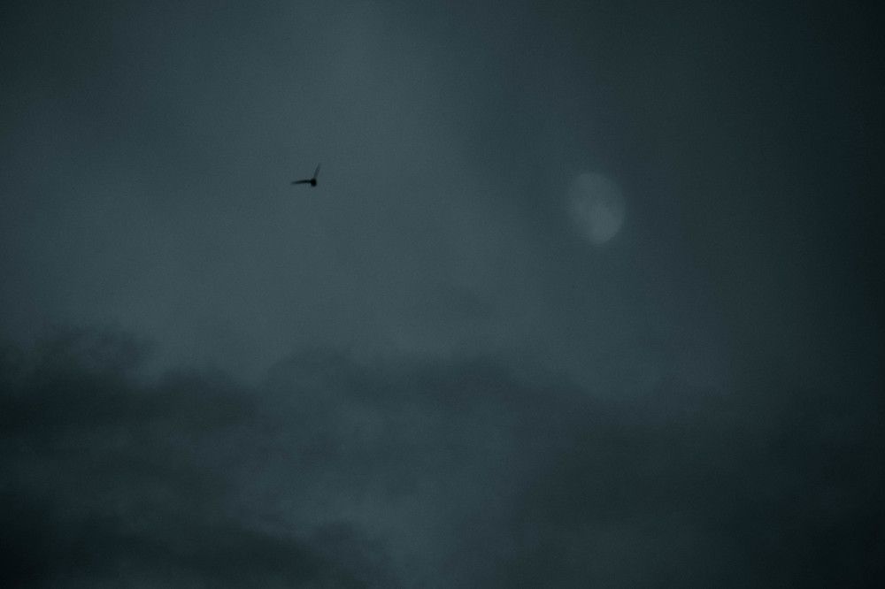 Photograph by Николай Сапожников