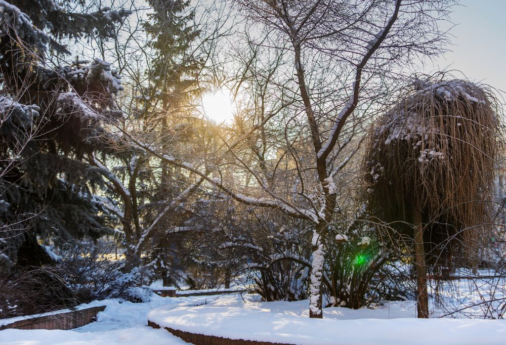 Photograph by Любовь Дворникова