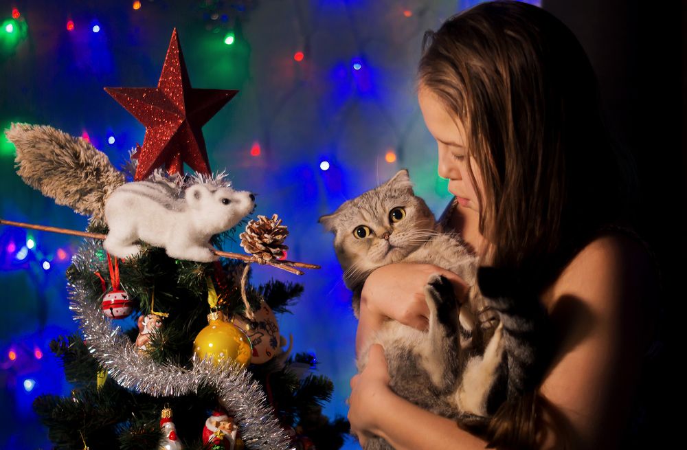 Photograph by Любовь Дворникова