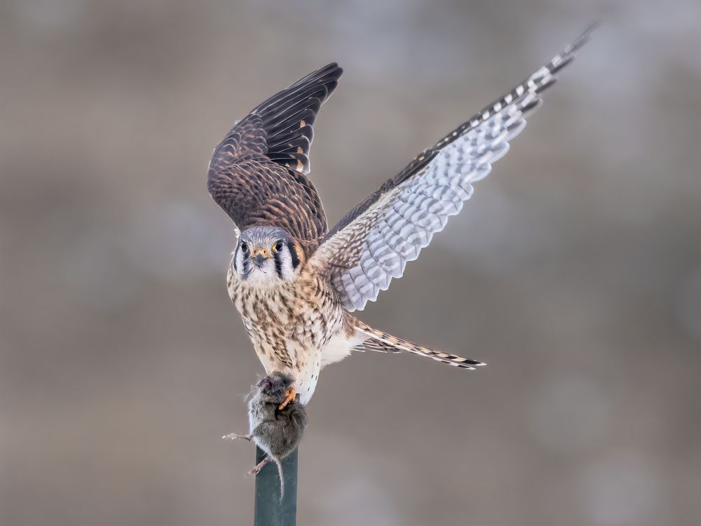 Photograph by Zhenhuan Zhou