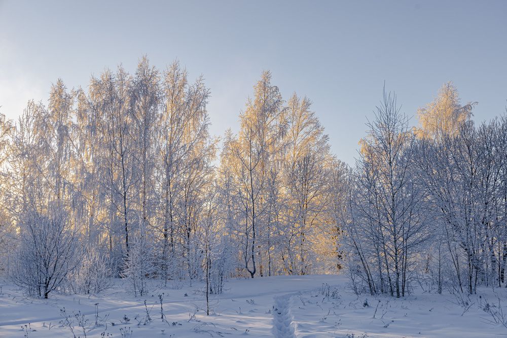 Photograph by Сергей Улыбышев