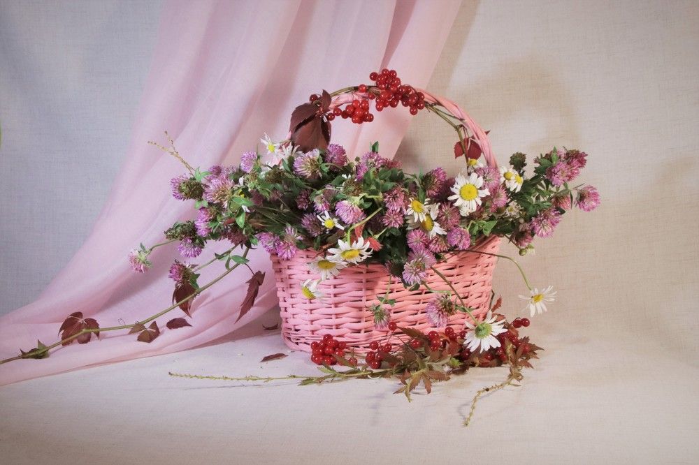 Photograph by Светлана Соколова