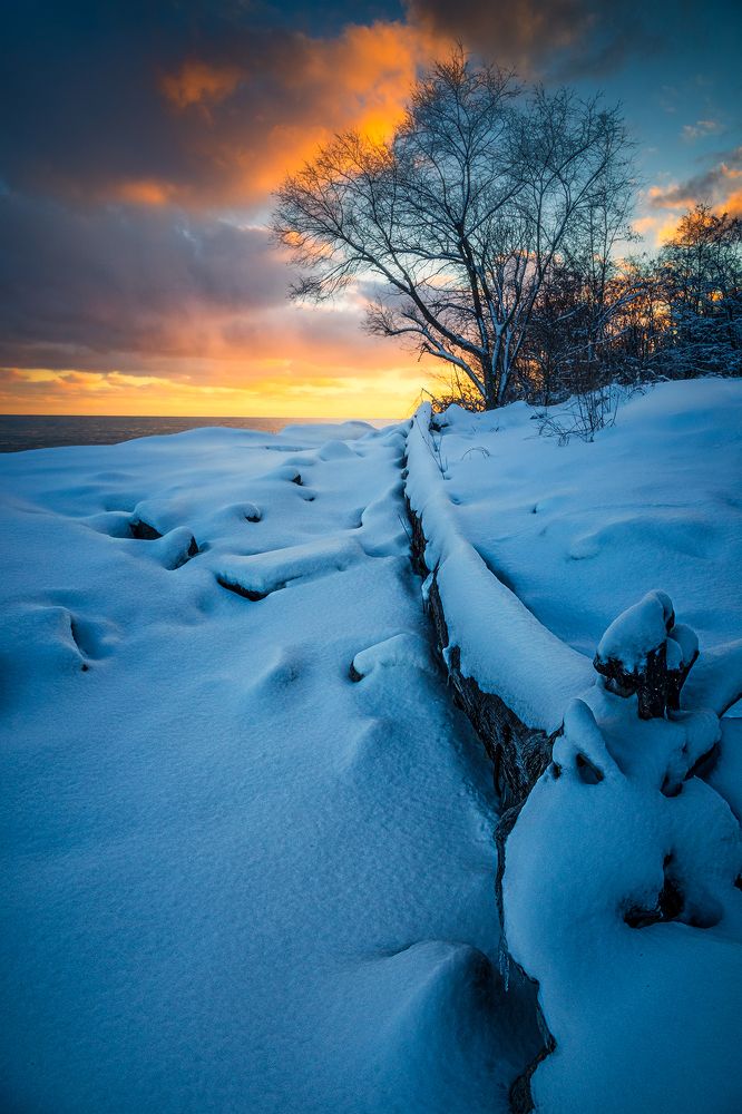 Photograph by Zhenhuan Zhou