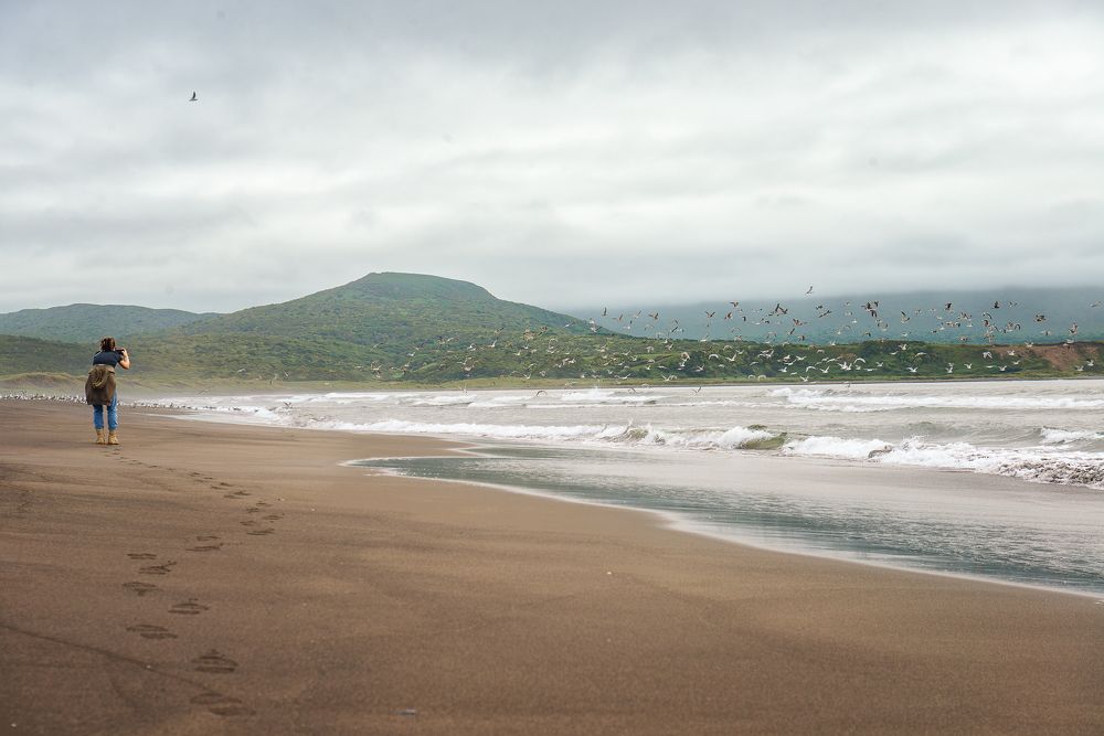 Photograph by Елена Низовцева