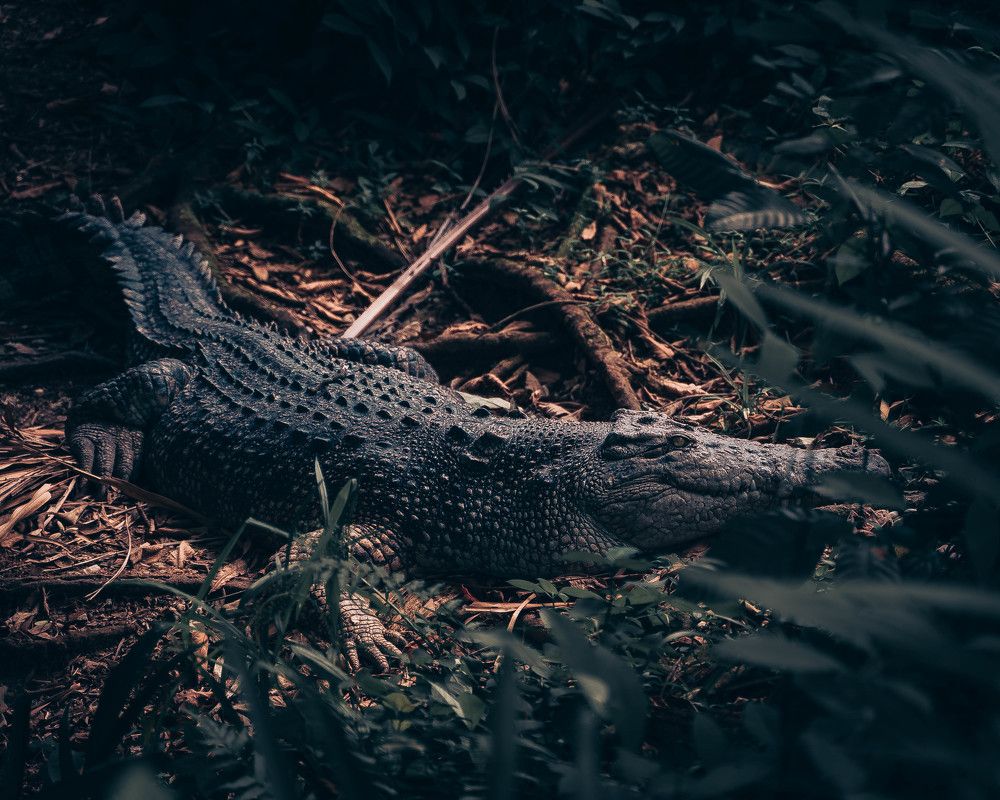 Photograph by Viinod Prakash Anand