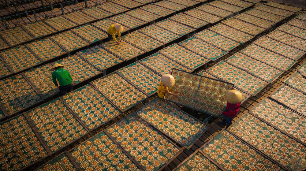 Photograph by Hải triều